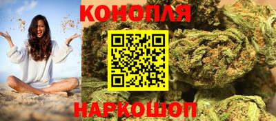 крисы Малгобек