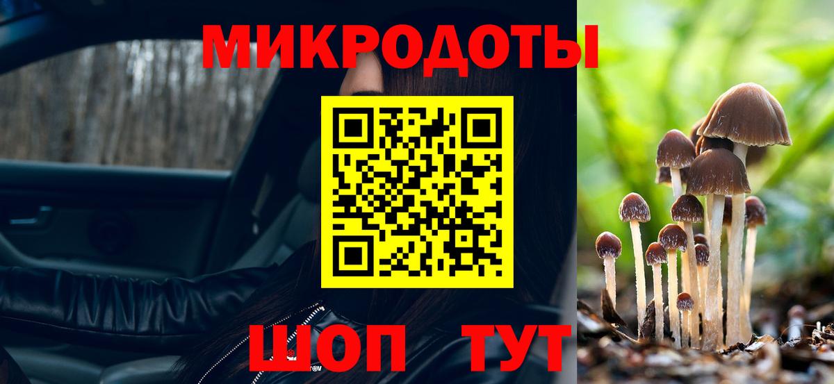 Галлюциногенные грибы Magic Shrooms Углич